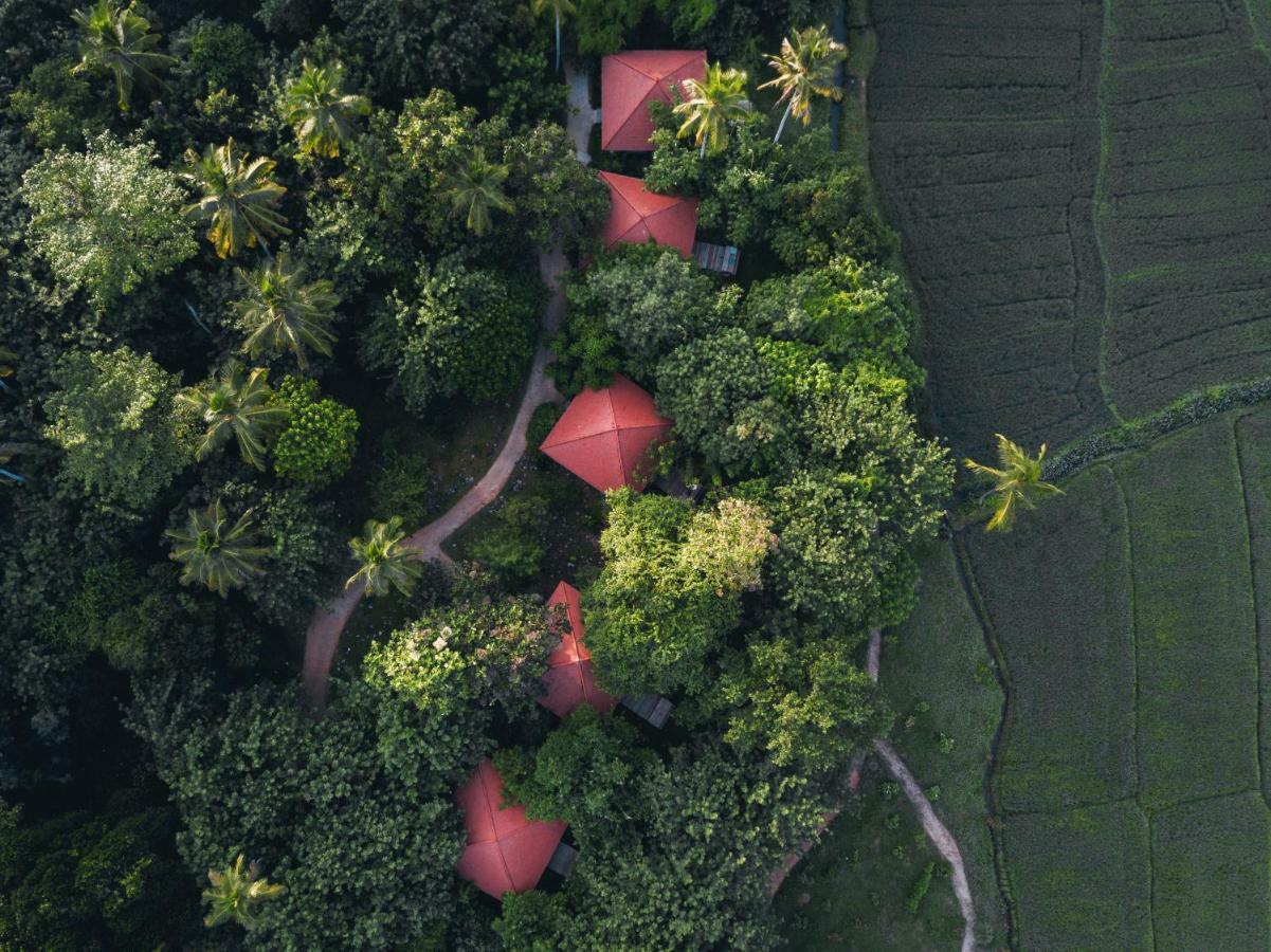 Hotel Jetwing Kaduruketha Wellawaya Exterior foto